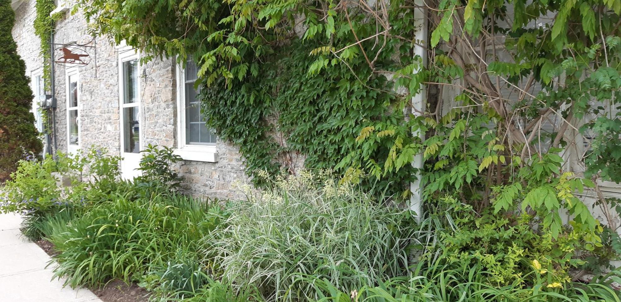 皮克顿Stone Carriage House别墅 外观 照片