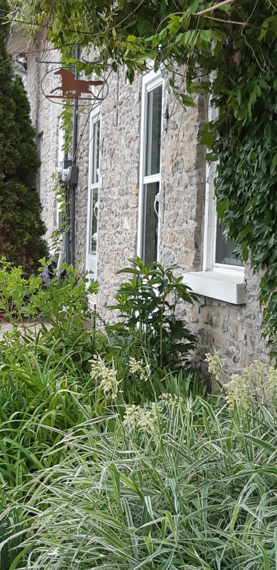 皮克顿Stone Carriage House别墅 外观 照片